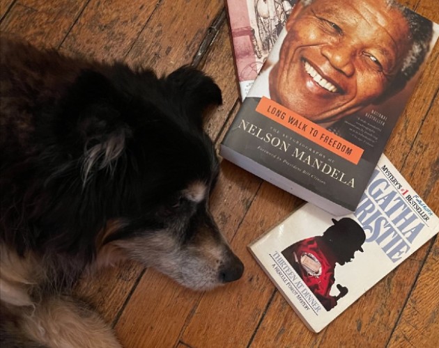 nysoclib's tweet photo. What would your #dog read? Here's a starter based on staff members' pups (including Winston, shown here): #RecommendedReading #StacksLove #StacksWeek #Dogs https://t.co/M1JDUjktI4