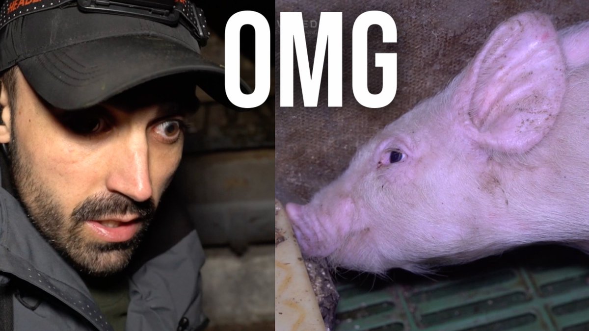 Gobsmacked!! This is unacceptable!!

🎥 Video here: youtu.be/e0mKhMxlFX8