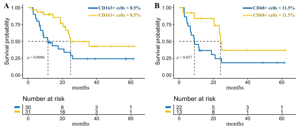 Liudmila Fedorova tweet media