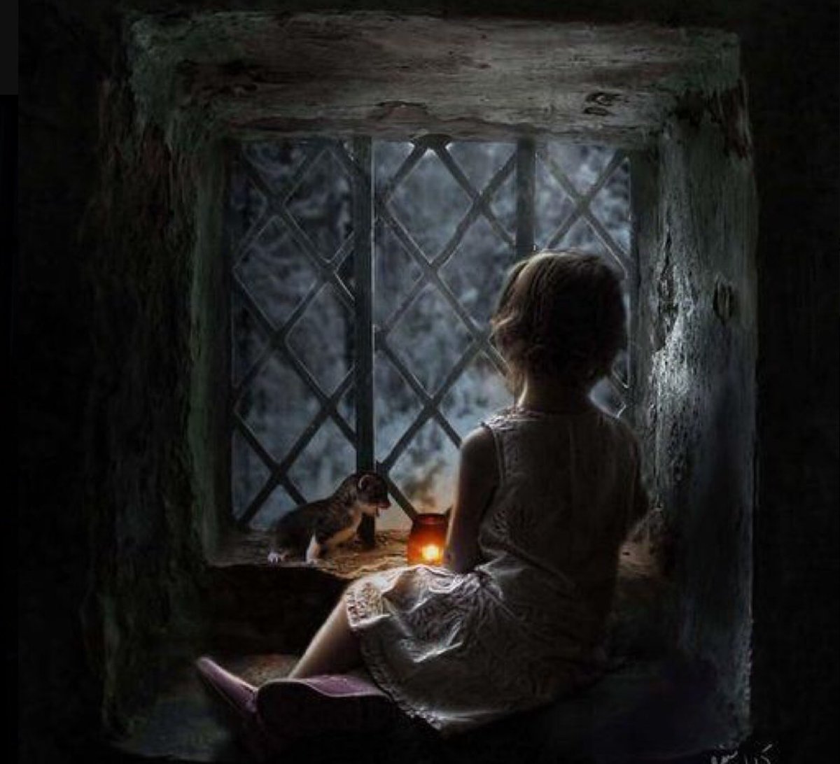 "أمسك فؤادك فالقلوبُ مدائِنٌ 
 ماكُلُّ من سكنَ الفؤادَ سيمكُثُ"💔

#راقت_لي