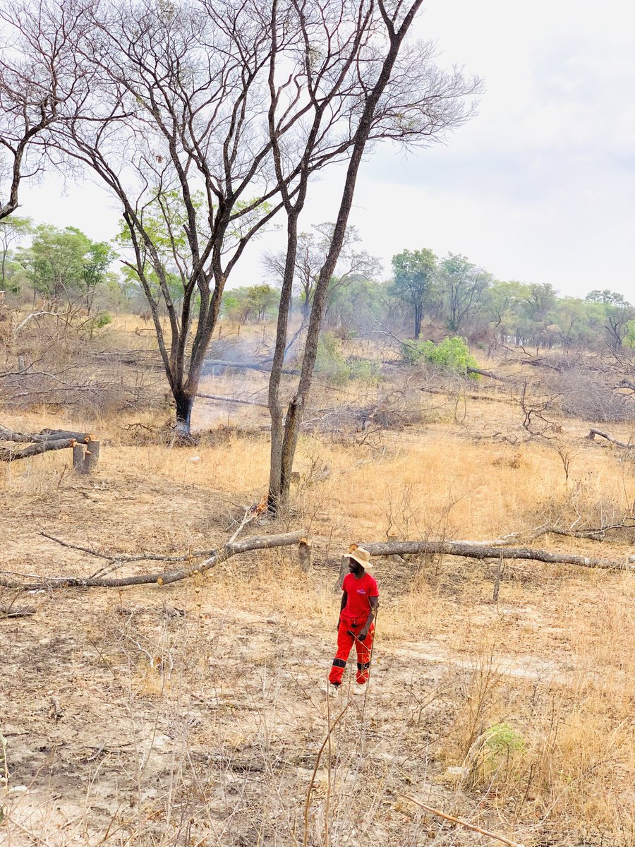 The Prince Machiavelli tweet media