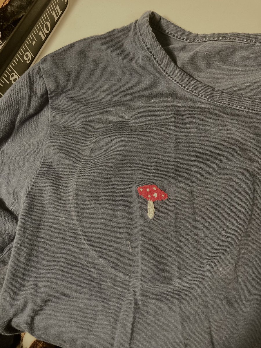 wildbrambling's tweet photo. T shirt had a hole in it, so I embroidered a mushroom over it! 🍄 https://t.co/NtWaYsFMGR