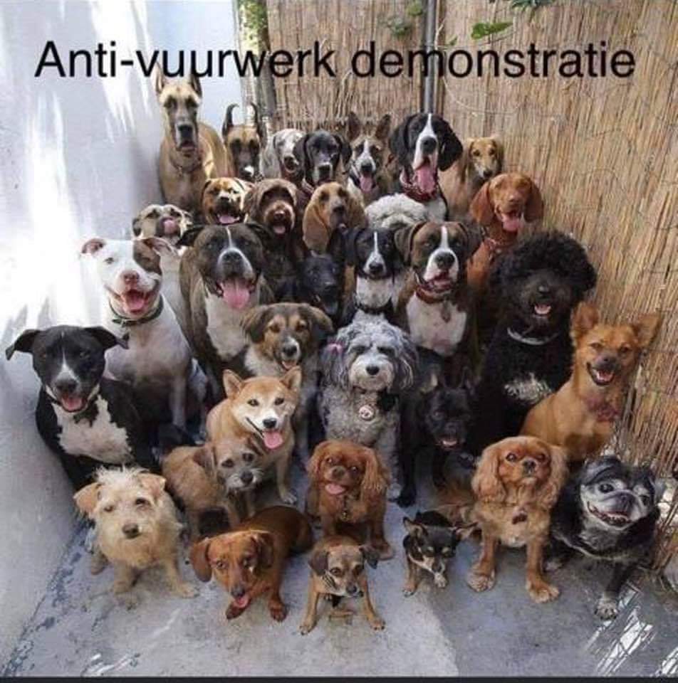 Ingrid Coenradie (@pingie70) on Twitter photo 