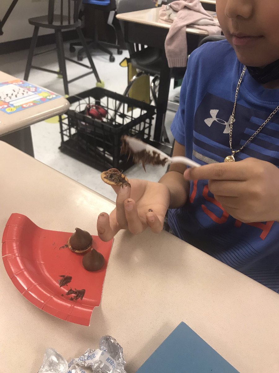 Ms_Shahs_Class's tweet photo. 🐿 our writing celebration 🎉 We made acorns to celebrate all our writing inspired by Scaredy Squirrel by Melanie Watt @iamscaredy @scaredybooks https://t.co/Mx3Pcaux46