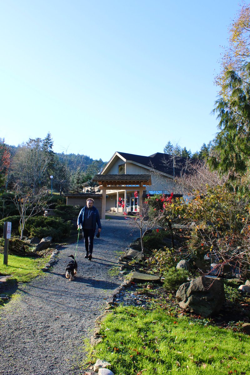 Salt Spring Chamber tweet media