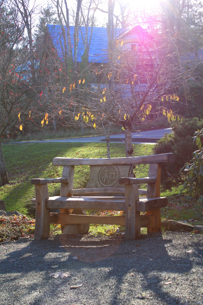 Salt Spring Chamber tweet media