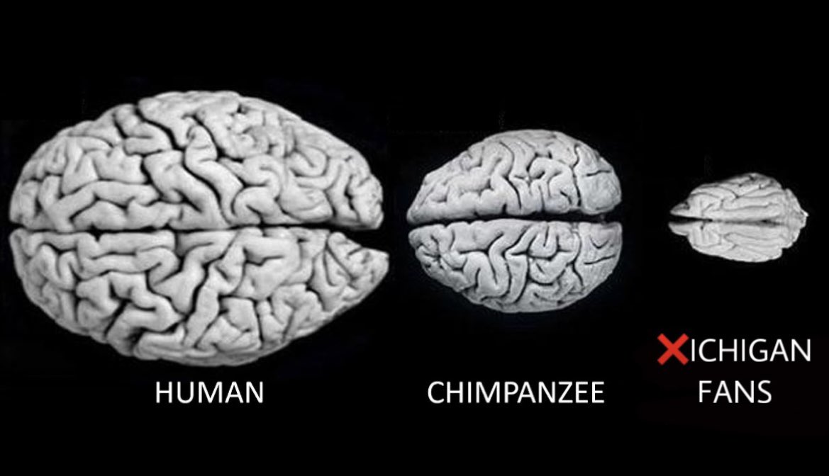 Ohio State Chicks tweet media