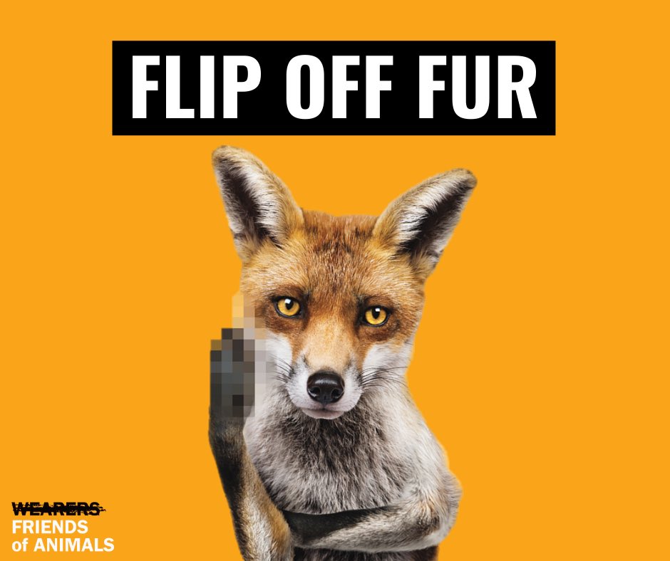 pferal's tweet photo. Hey shoppers: No fur, please. #FlipOffFur https://t.co/7WGlB2y7M6