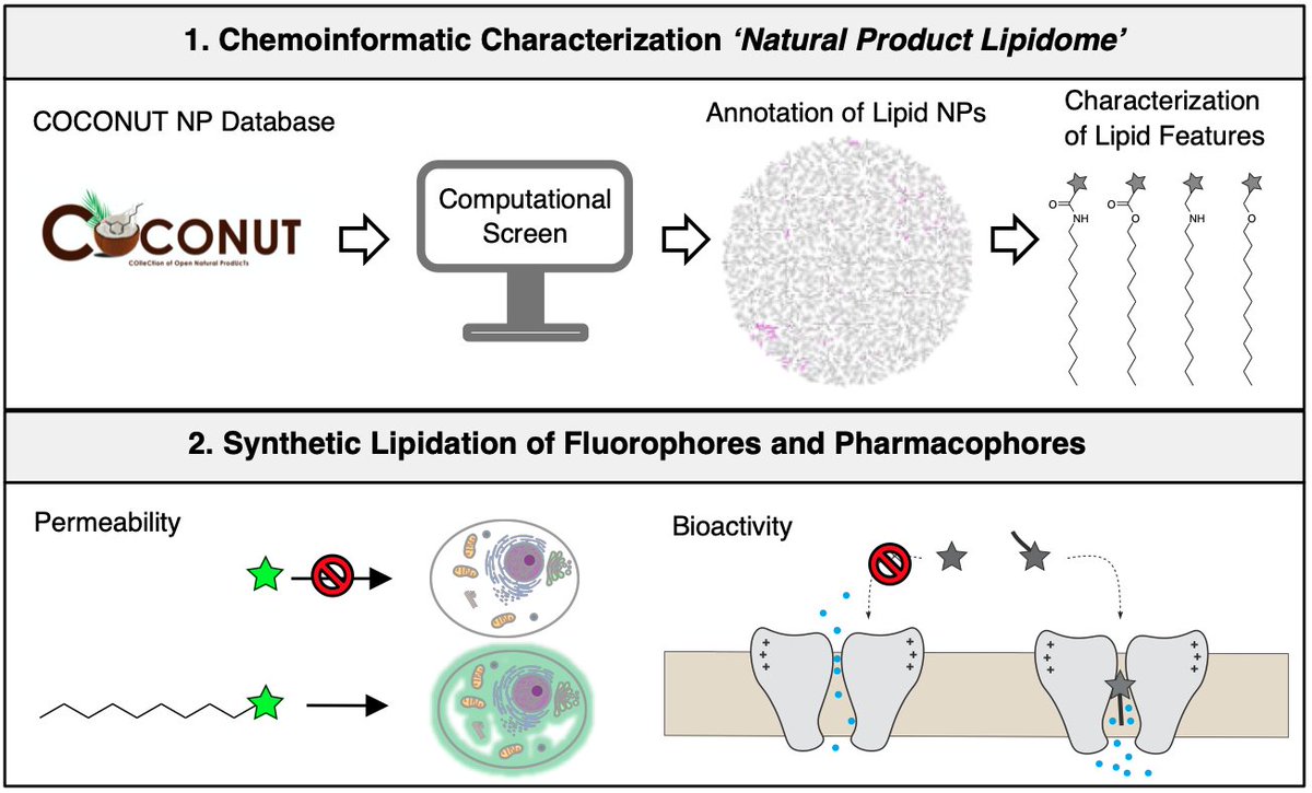 Johannes Morstein tweet media