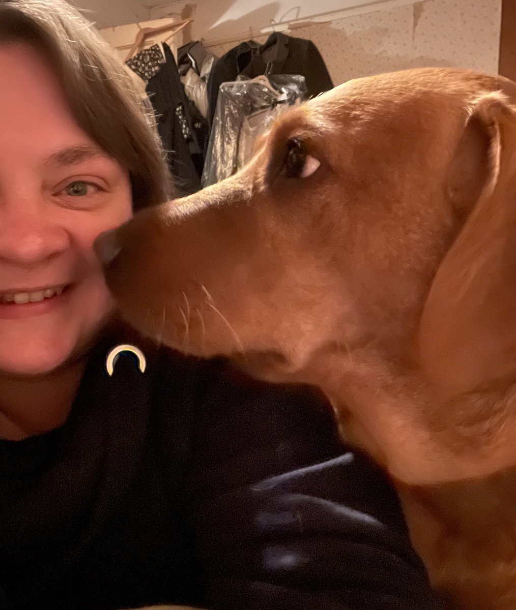 ReeveHelen's tweet photo. Four years with this little ginger legend. How it’s going and how it began 🥰 goodness, I love Molly dog #teamfoxred #foxredlab #bestfriendwithpaws🐾 https://t.co/ONPMT4g6U3