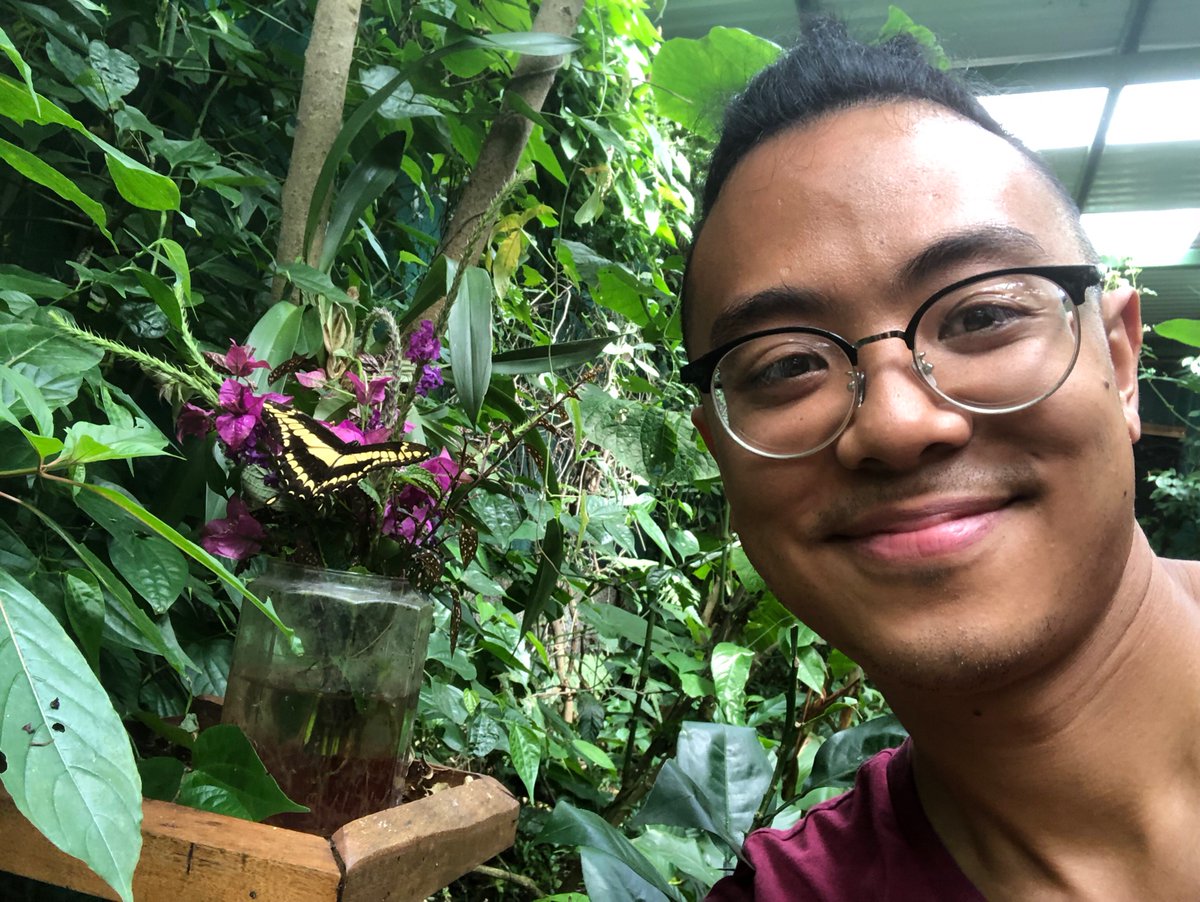 Working at the Monteverde Jardín de Mariposas!