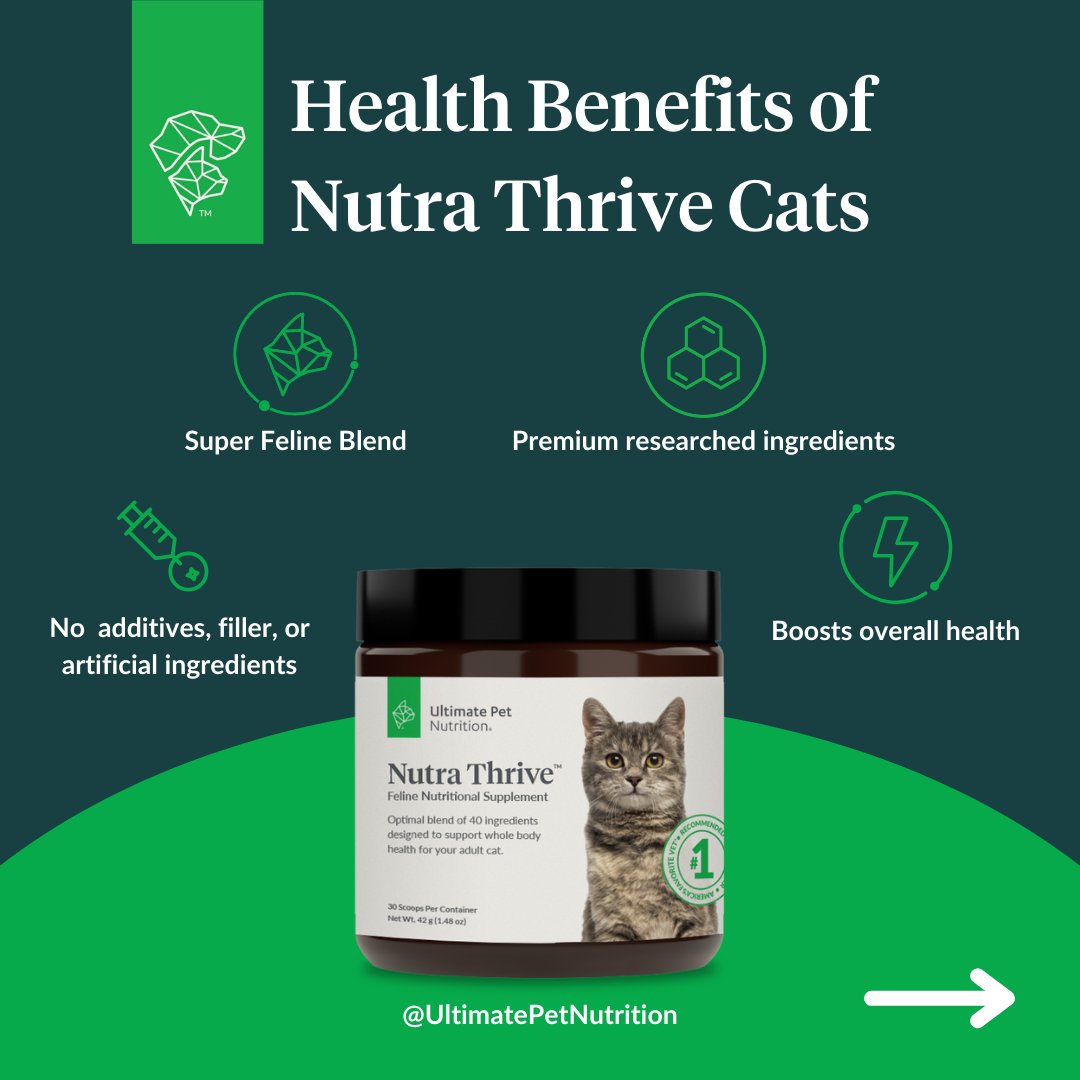ultimate pet nutrition for cats