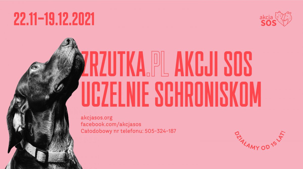 Akcja_SOS's tweet photo. Znów działamy :) #pies #kot #charytatywne https://t.co/yzEZMqOKwa