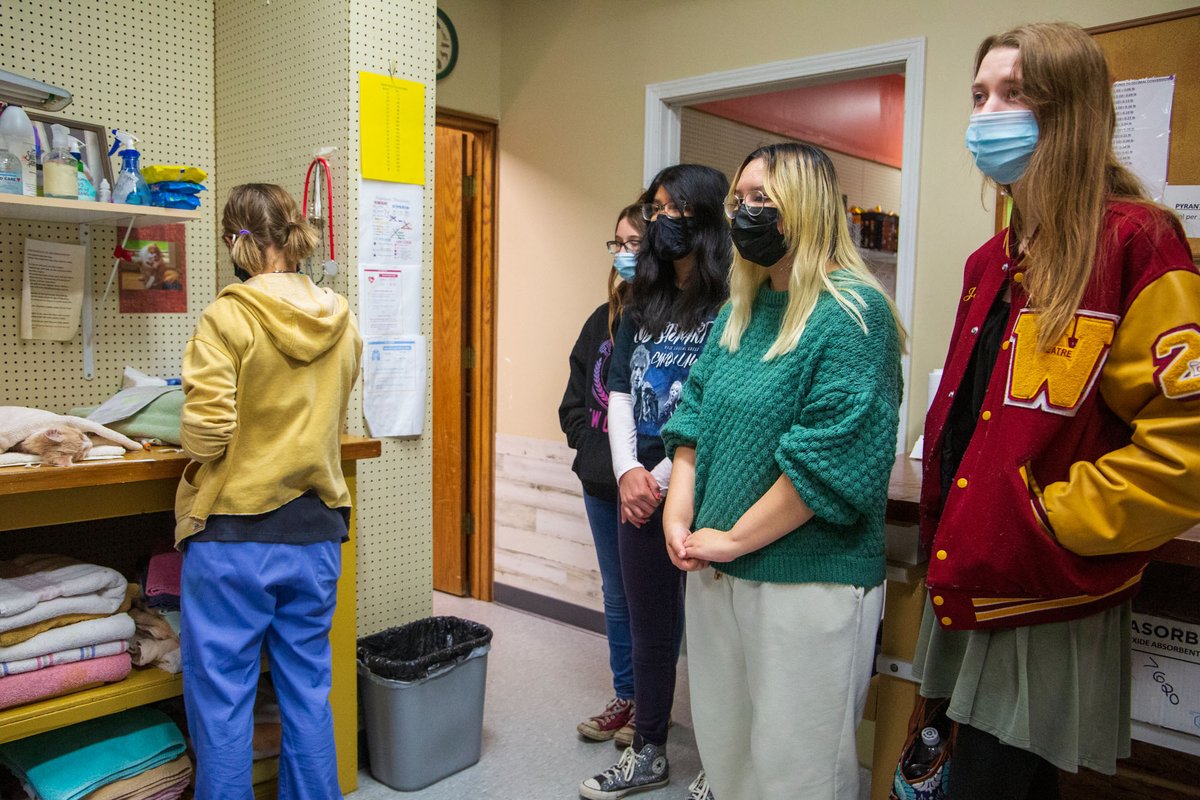 NKC Schools tweet media