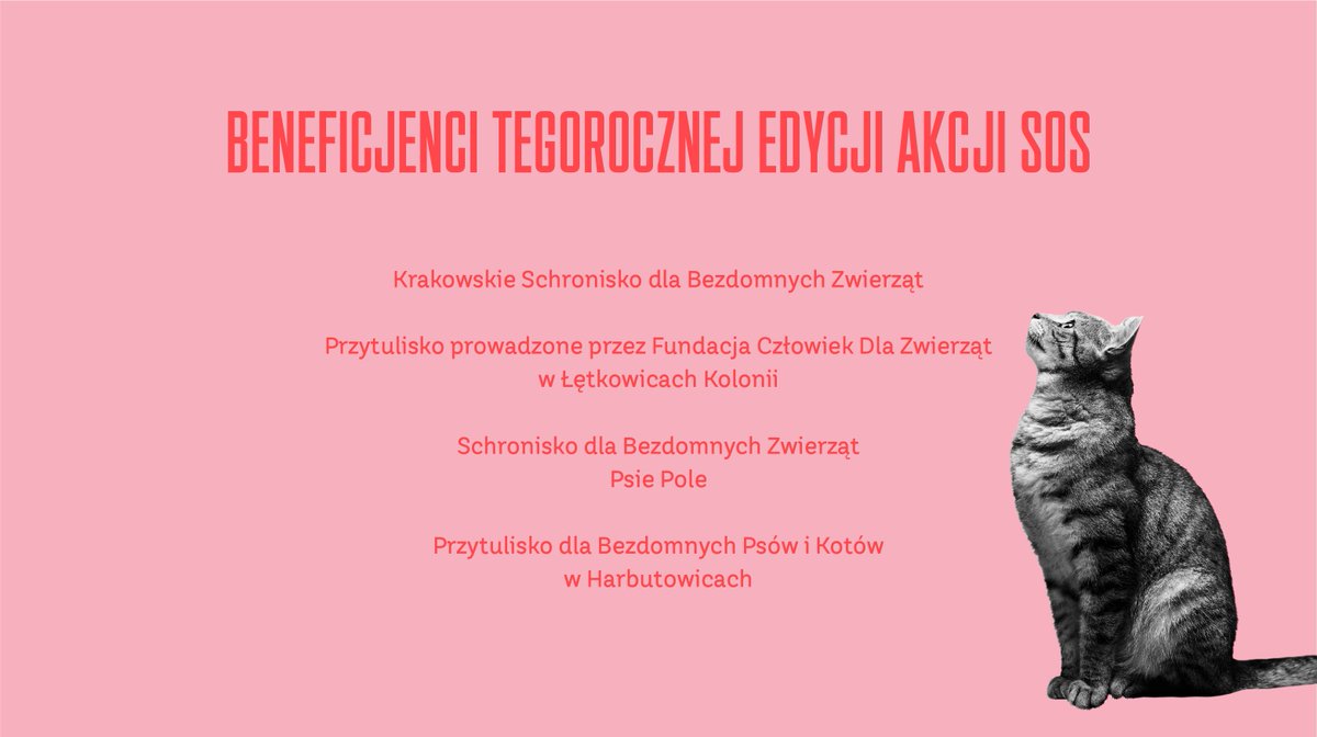 Akcja_SOS's tweet photo. Znów działamy :) #pies #kot #charytatywne https://t.co/yzEZMqOKwa
