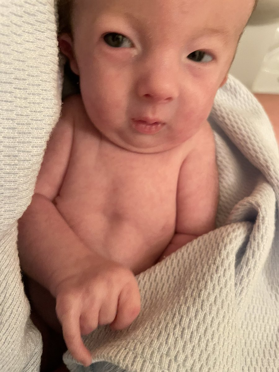 taylor_LT33's tweet photo. Our fighting little Jett. He has fought well, he was tired. He was loved every minute of his 79 days with us. We’ve lost a son. Our kids have lost their brother. Ozona has been so very very good to us by loving him. He’s forever our baby, and forever Ozona’s Littlest Lion. ✈️🦁 https://t.co/OJ3gvsmcjX