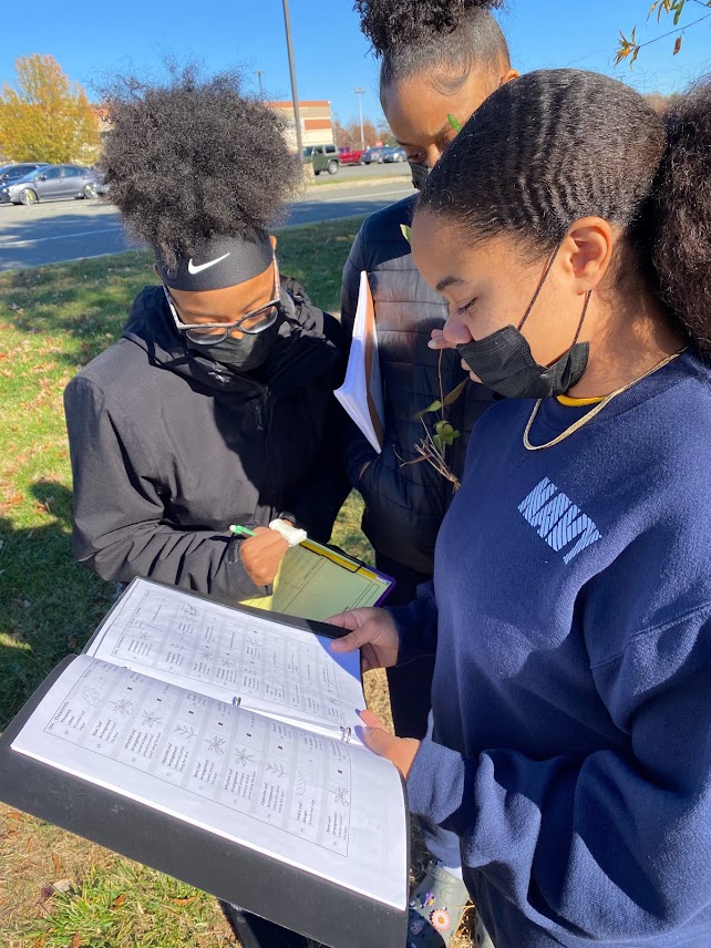 Ms. Gina from Nanjemoy Creek Environmental Center helped AP Environmental students learn how to identify exotic species on Westlake campus. Students examined the impact of these exotics on the native wildlife. <a href="/nanjemoycreek/">NCEEC</a> <a href="/Westlake_HS/">Westlake High School</a>