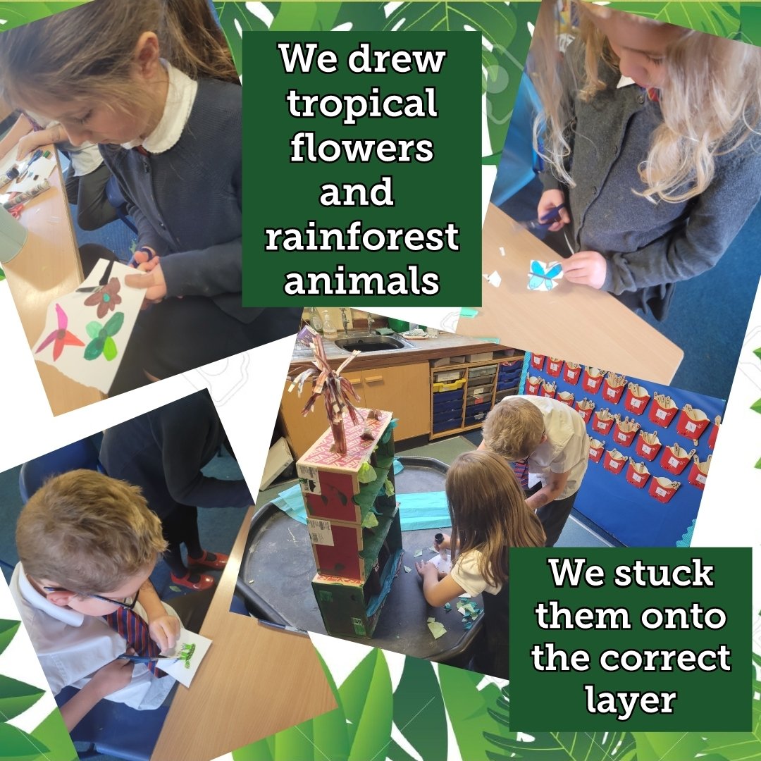 MrsTCaterpillar's tweet photo. What a fantastic team I had today helping to make our very own model of the rainforest. They were able to describe and name each layer of the rainforest and identify the animals that lived there too! Fabulous work π @LADICKSON76 #Rainforesttopic #Creativity #SharingOurLearning https://t.co/KU4xxbWxyv
