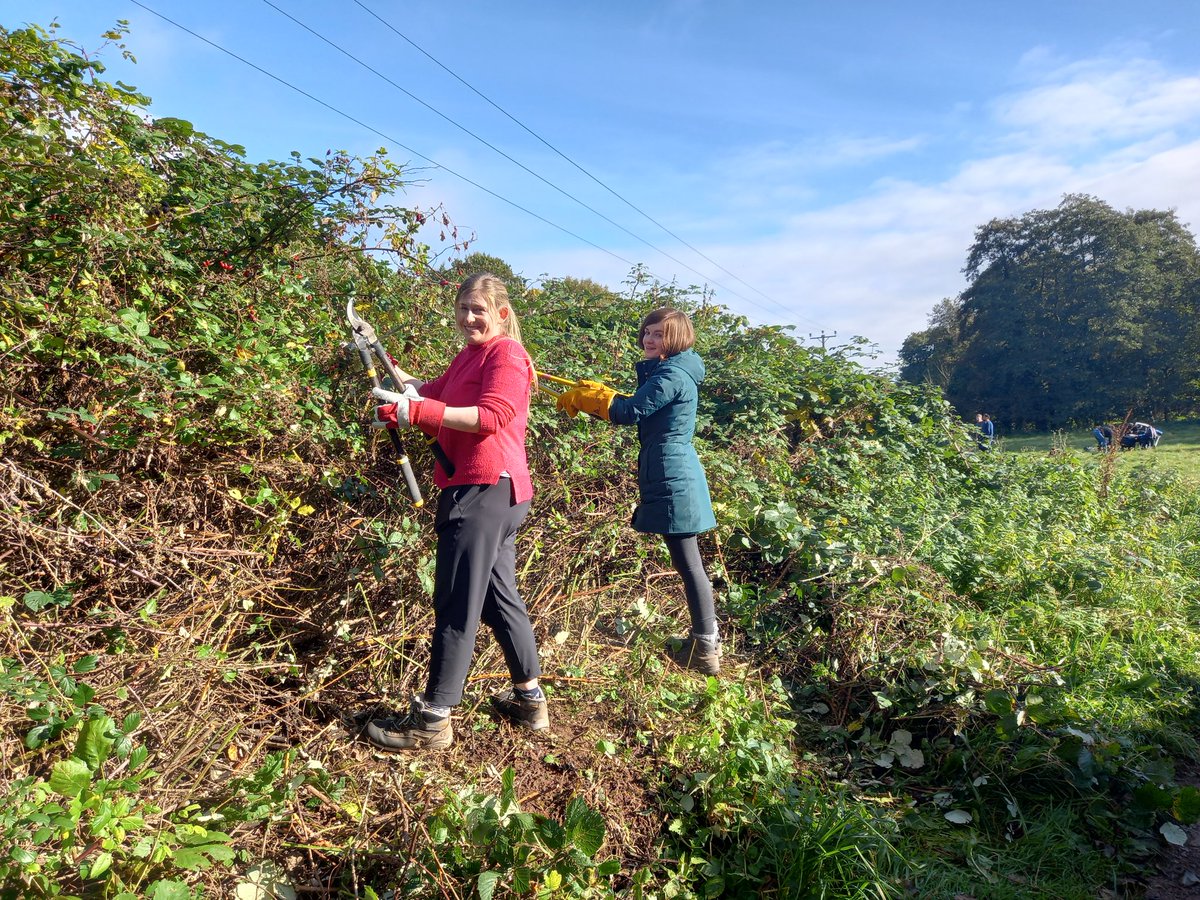 TCVBristol's tweet photo. A big thank you to the group from OVO Energy who joined us at Wellow Brook Walk in Midsomer Norton the other week for a day of bramble clearance. What a great day. :-) @TCVtweets @norton_town @OVOEnergy #joininfeelgood https://t.co/soZJQqZH5L