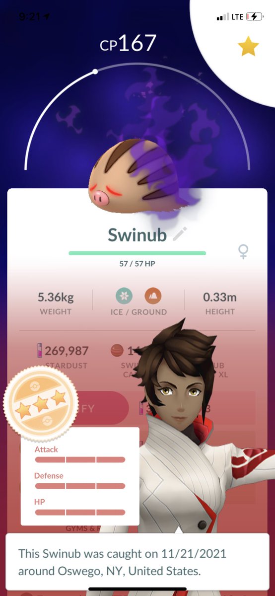 PRaids555's tweet photo. Omg it happened 😱😱😱 #pokemon #pokemongo #PokemonShiningPearl  #PokemonBrilliantDiamond #swinub #shadowswinub ##PVP #GBL #Shinx #CommunityDay https://t.co/FU4ZWwct4b