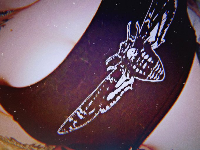 Check out my adult sites now. Posting new content daily. Subscribe and get access to my NSFW snap. Let<a href="/tag/linkinbio"class="tags"><span>#linkinbio</span></a><a href="/tag/link"class="tags"><span>#link</span></a><a href="/tag/adultcontent"class="tags"><span>#adultcontent</span></a><a href="/tag/onlyfans"class="tags"><span>#onlyfans</span></a><a href="/tag/contentcreators"class="tags"><span>#contentcreators</span></a>