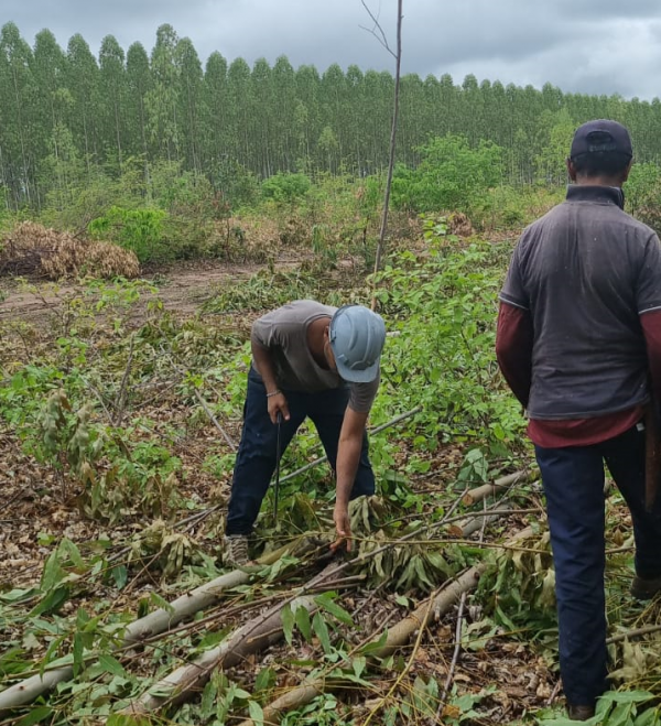MPTrabalho's tweet photo. #TrabalhoEscravo: Grupo Móvel #resgata quatro #trabalhadores em Itaueira (PI)
📱🖥️https://t.co/9gK6KsJdmw
📷 Ascom MPT-PI https://t.co/1Eaqh0tT2B