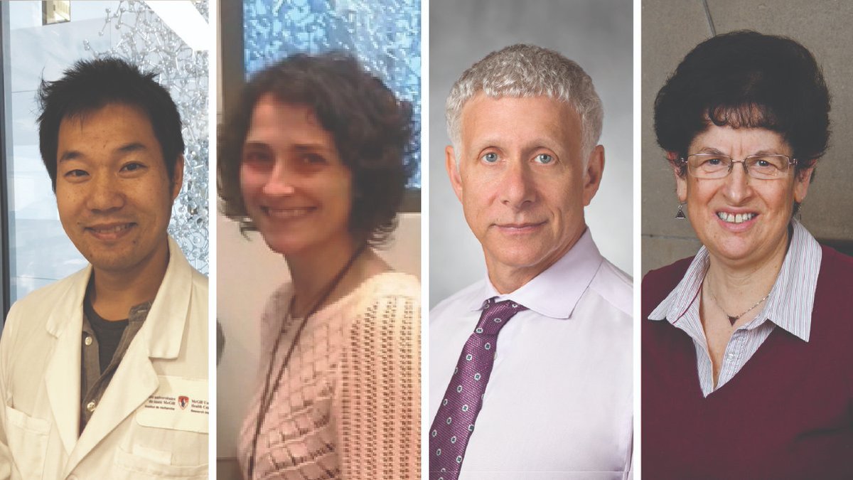 RIMUHC1's tweet photo. A new RI-MUHC study published in @MCT_AACR finds that combinatorial immunotherapy can provide a significant therapeutic benefit in the management of pancreatic ductal adenocarcinoma (#PDAC) metastases. #CancerResearchProgram @CUSM_MUHC @McGillMed https://t.co/dZI6vrQWjj