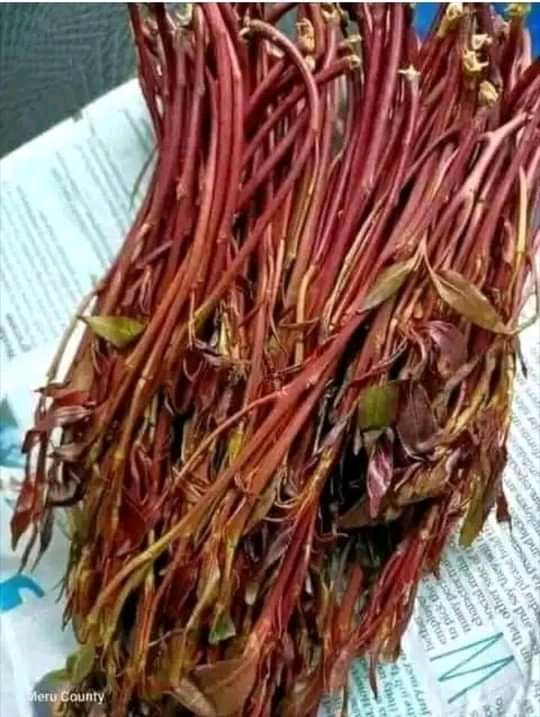 kinyua_1's tweet photo. @RastyleRepublik @mcphilipo @adihcaptain001 @VybezRadioKE @amedo___ Embu tuko ndani,, reggea my lighting ukuje ya Peter tosh,kwa topic kuchana ndio poa juice achia watoto please. https://t.co/CYnvXge4jy