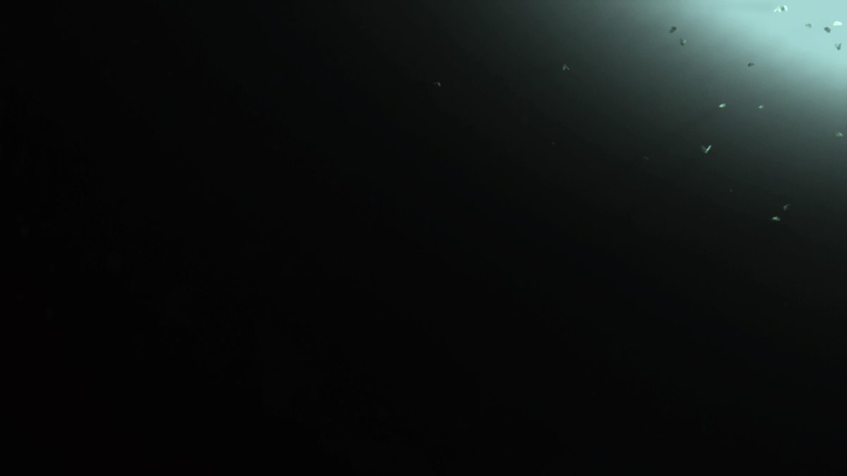 jaforyj's tweet photo. #PS5Share, #TheLastofUsPartII https://t.co/ezGpsIy8Ao