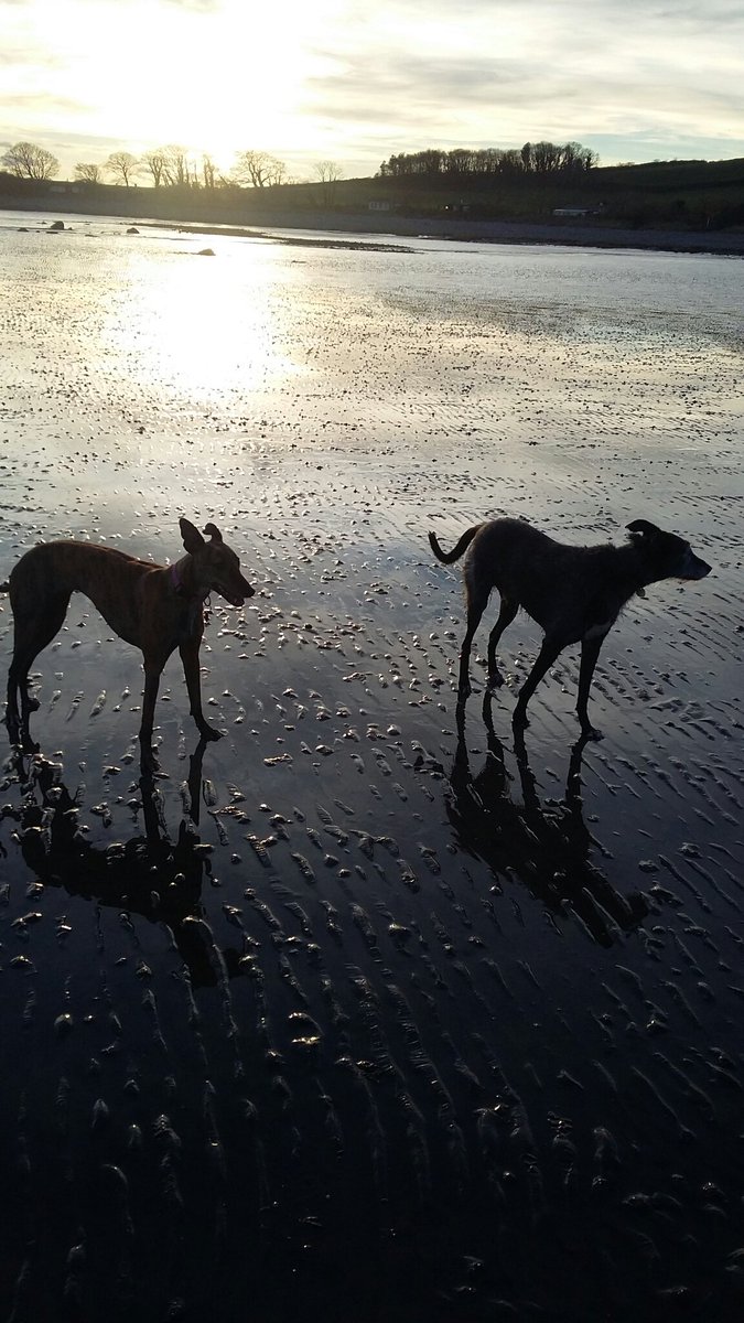 TheLengthsman's tweet photo. @SamPlum4 @CumbriaWeather @Walney_Island @FeatureCumbria @StormHour Was at #Baycliff https://t.co/roO4IQUW8J