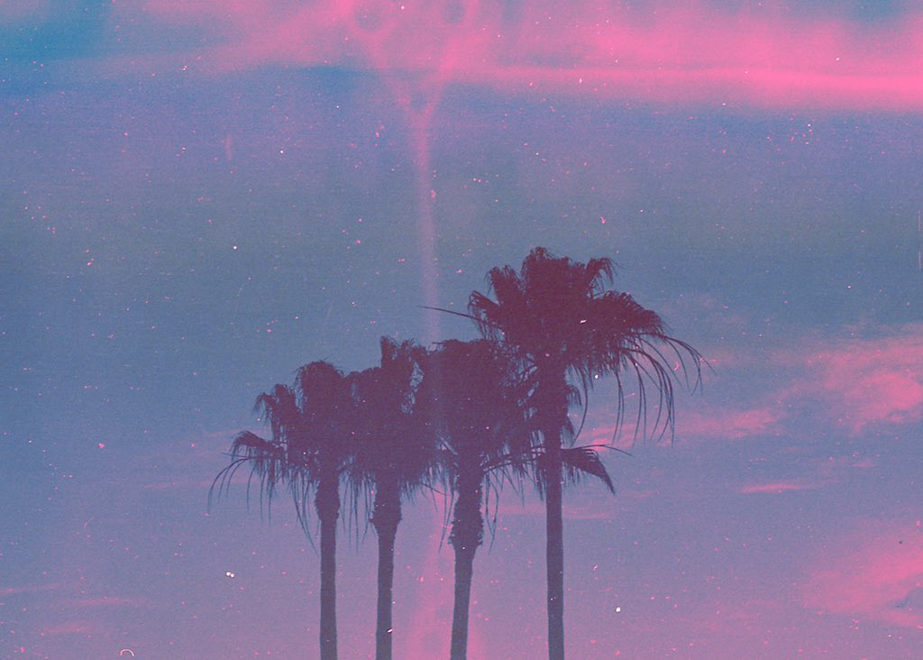 angel 🌙 tweet media