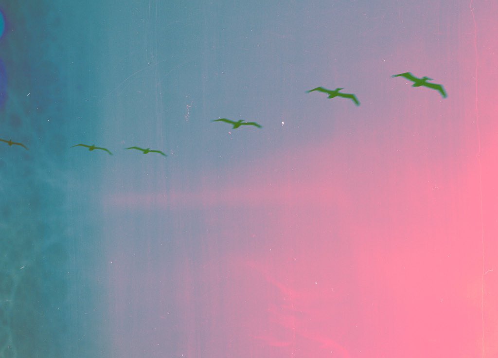 angel 🌙 tweet media