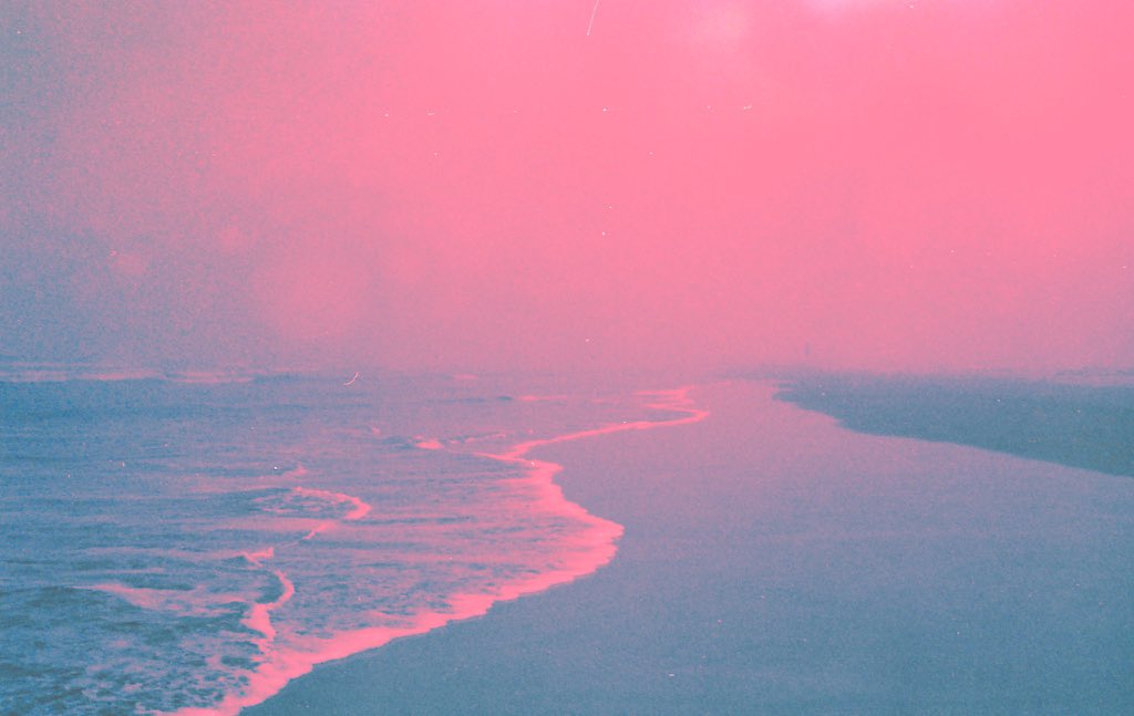 angel 🌙 tweet media