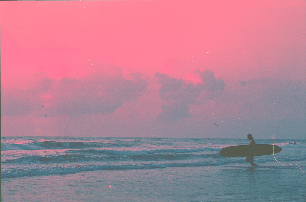 angel 🌙 tweet media