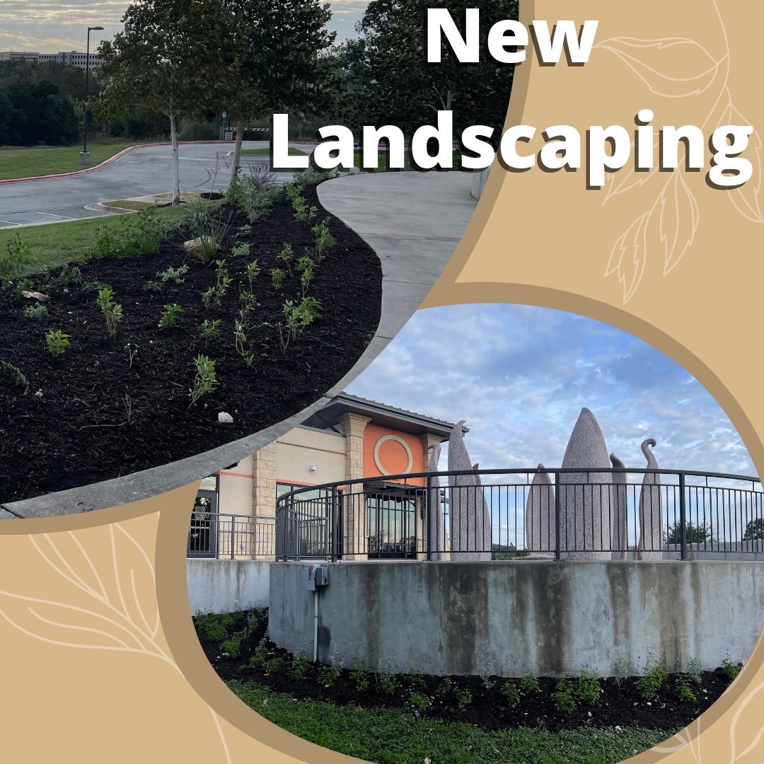 This Fall, the AARC has gotten busy outside the building. After the winter storm last year, our landscaping needed some work. Now, we have new landscaping planted, and our Senior Garden and Gingko in the Zen Garden are vibrant this Fall! We are so excited! 

#AARC #AsianAmerican