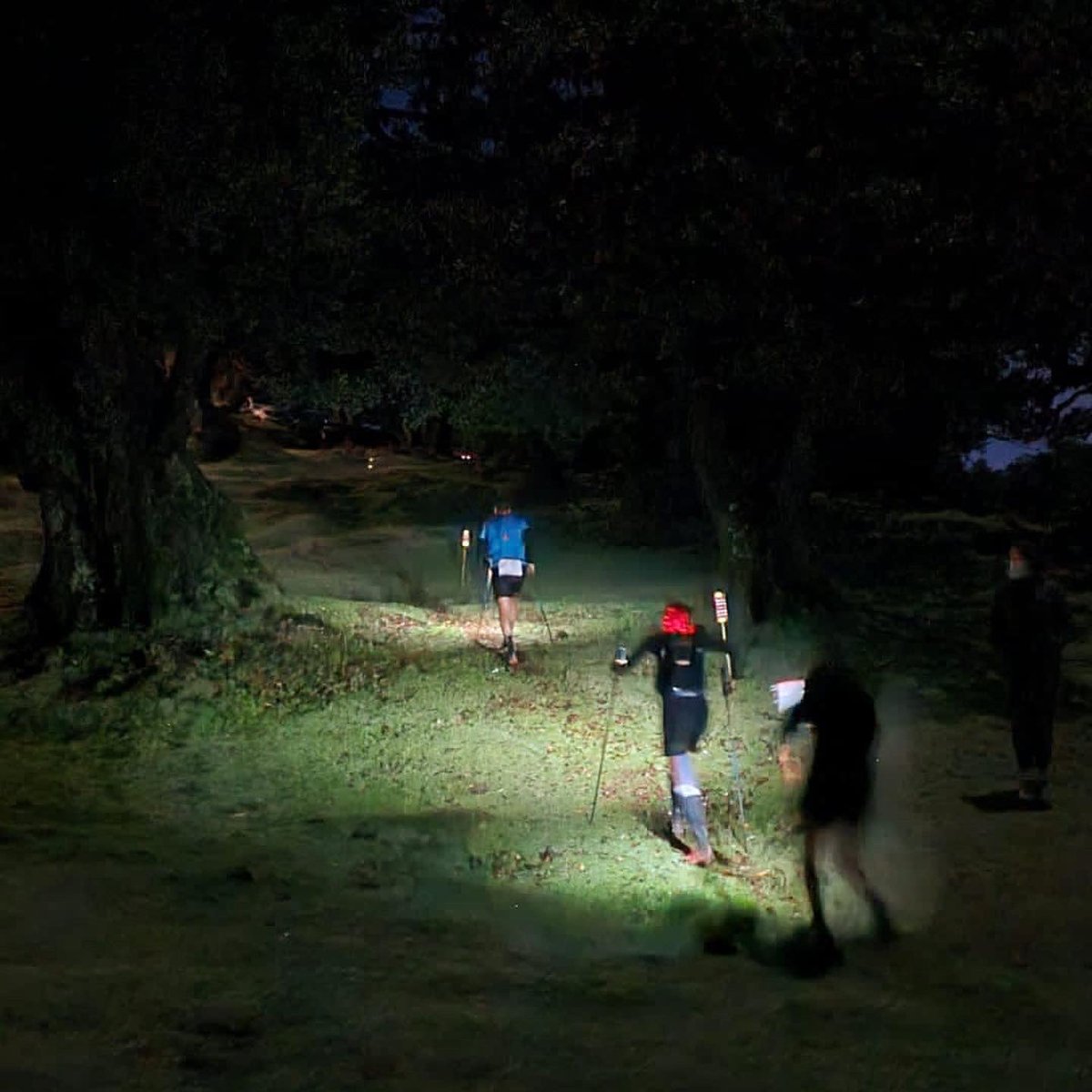 @trideporte tweet media