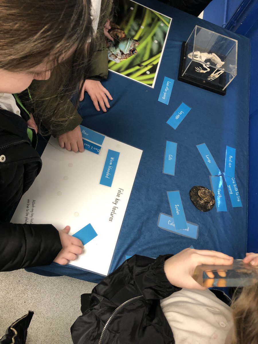 oakSomervilleP1's tweet photo. A great day at Chester Zoo classifying animals @oakSomervilleP1 https://t.co/WvnTG5N45I
