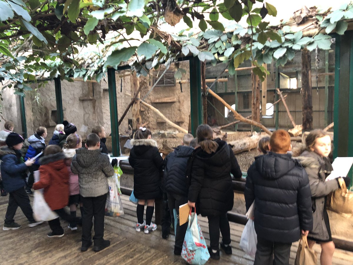 oakSomervilleP1's tweet photo. A great day at Chester Zoo classifying animals @oakSomervilleP1 https://t.co/WvnTG5N45I