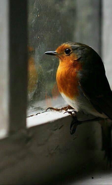 İnsan önce kendini unuturmuş, en son da kendini hatırlarmış...