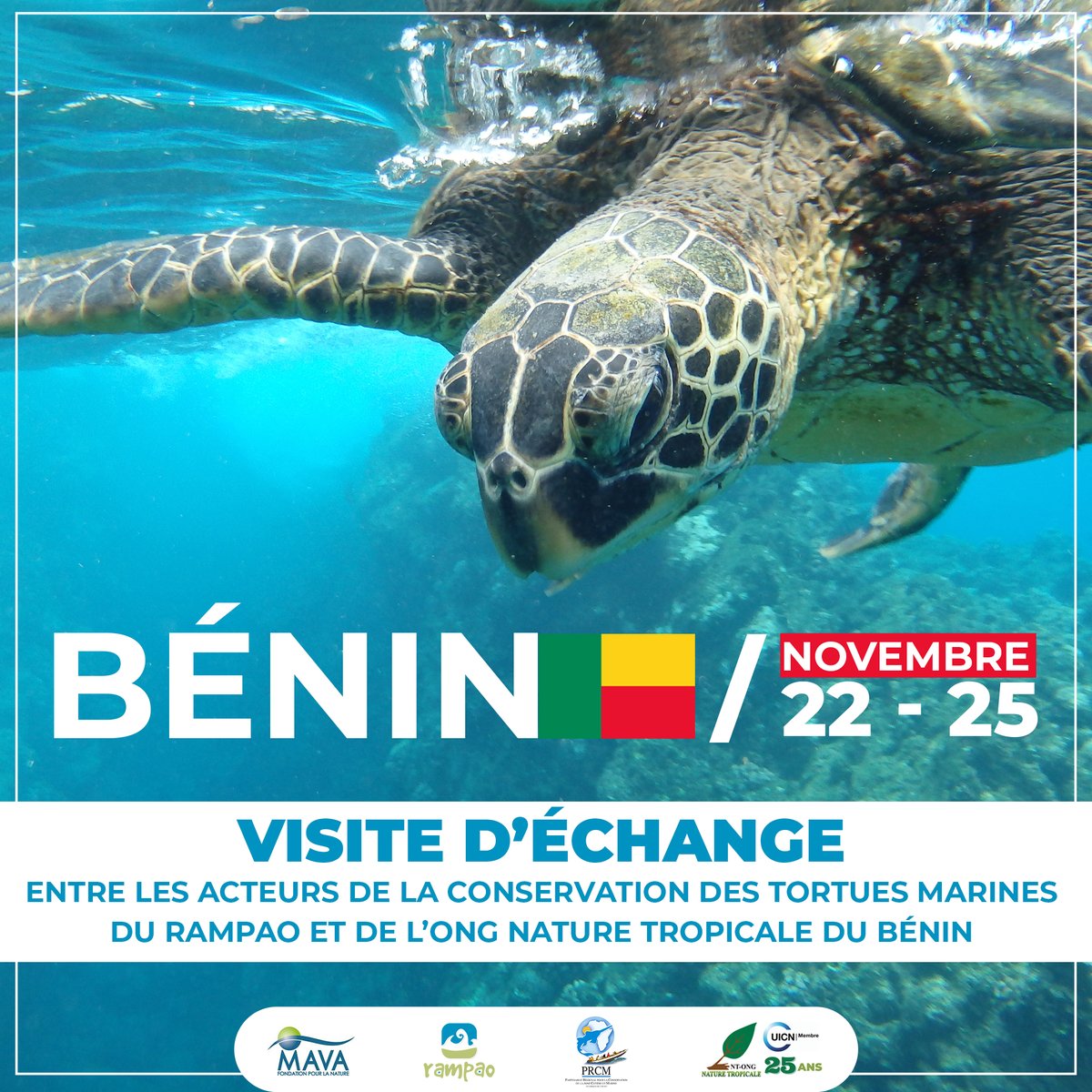 rampao_network's tweet photo. LE RAMPAO, EN COLLABORATION AVEC NATURE TROPICAL DU BENIN, ORGANISE UNE VISITE D'ÉCHANGE DONT L'OBJECTIF GLOBAL est de contribuer à la protection des tortues marines à travers un échange d’expériences, de connaissances et de savoirs endogènes. https://t.co/ISS6MMGbcU