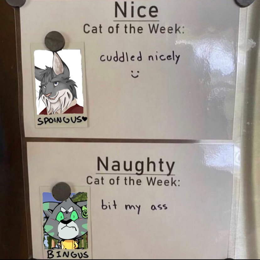 𝘈𝘭𝘦𝘹𝘪𝘰𝘴 ° (@emeraldfxlid) on Twitter photo 