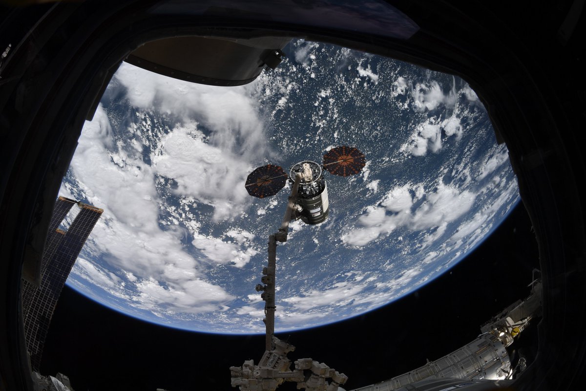 Raja Chari tweet media