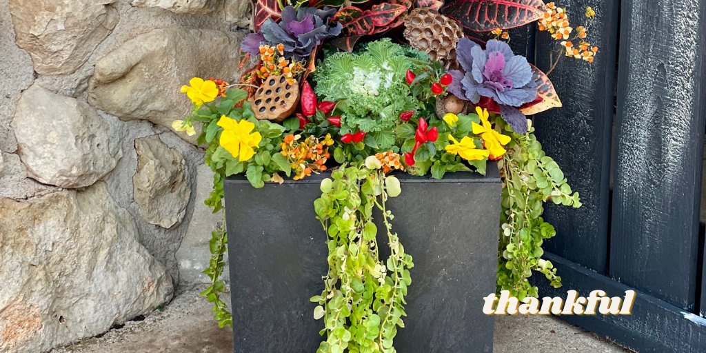 TierraVerde Planters tweet media