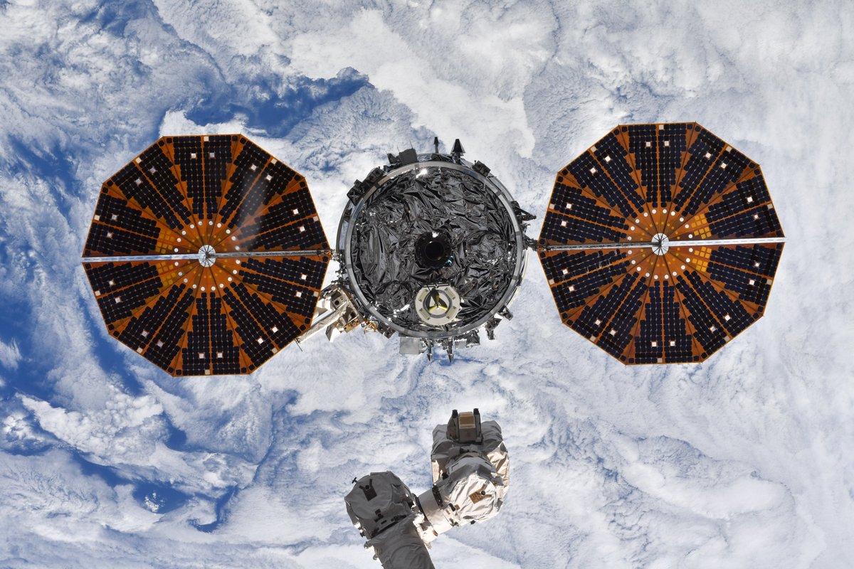 Raja Chari tweet media