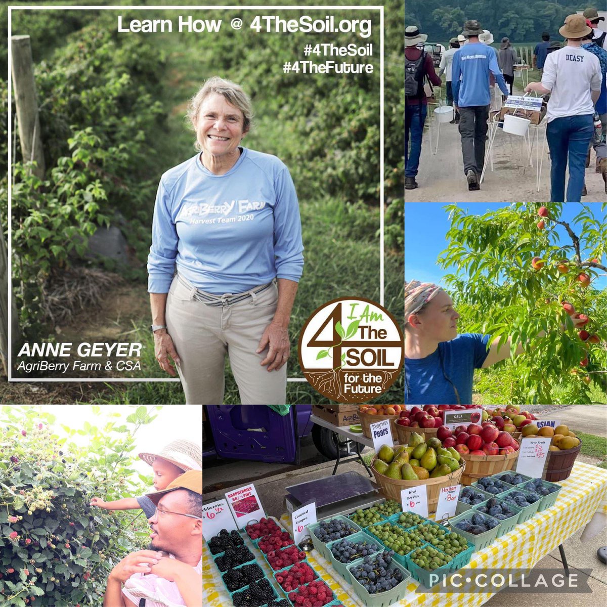 Agriberry Farm tweet media