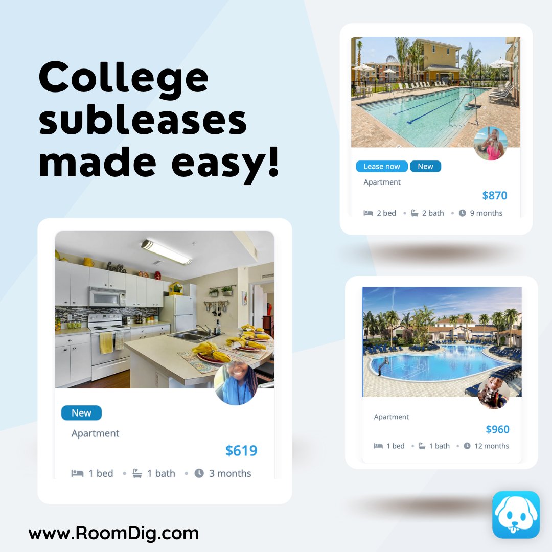 RoomDig tweet picture