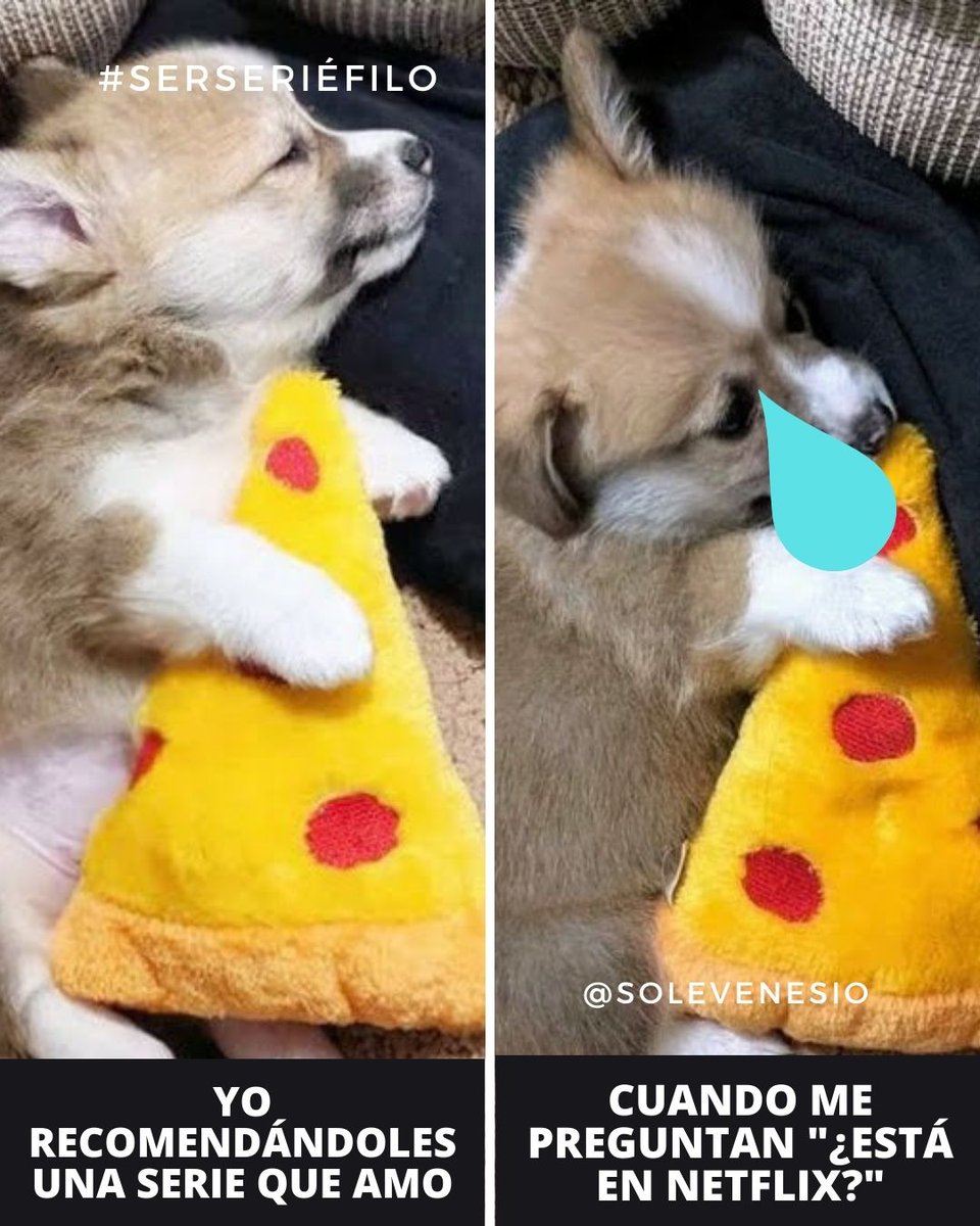 Sole Venesio 📺 tweet media