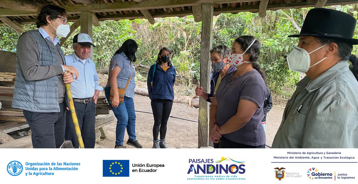 FAOEcuador's tweet photo. 📲En su primer año, el proyecto #PaisajesAndinosEc cuenta con la participación de más de 800 beneficiarios y beneficiarias (48% mujeres) 🤲🌳🍃 en 4 provincias, para la conservación y producción sostenible en los Andes ecuatorianos. @Ambiente_Ec @AgriculturaEc @UEenEcuador https://t.co/GJlBmIEFMm