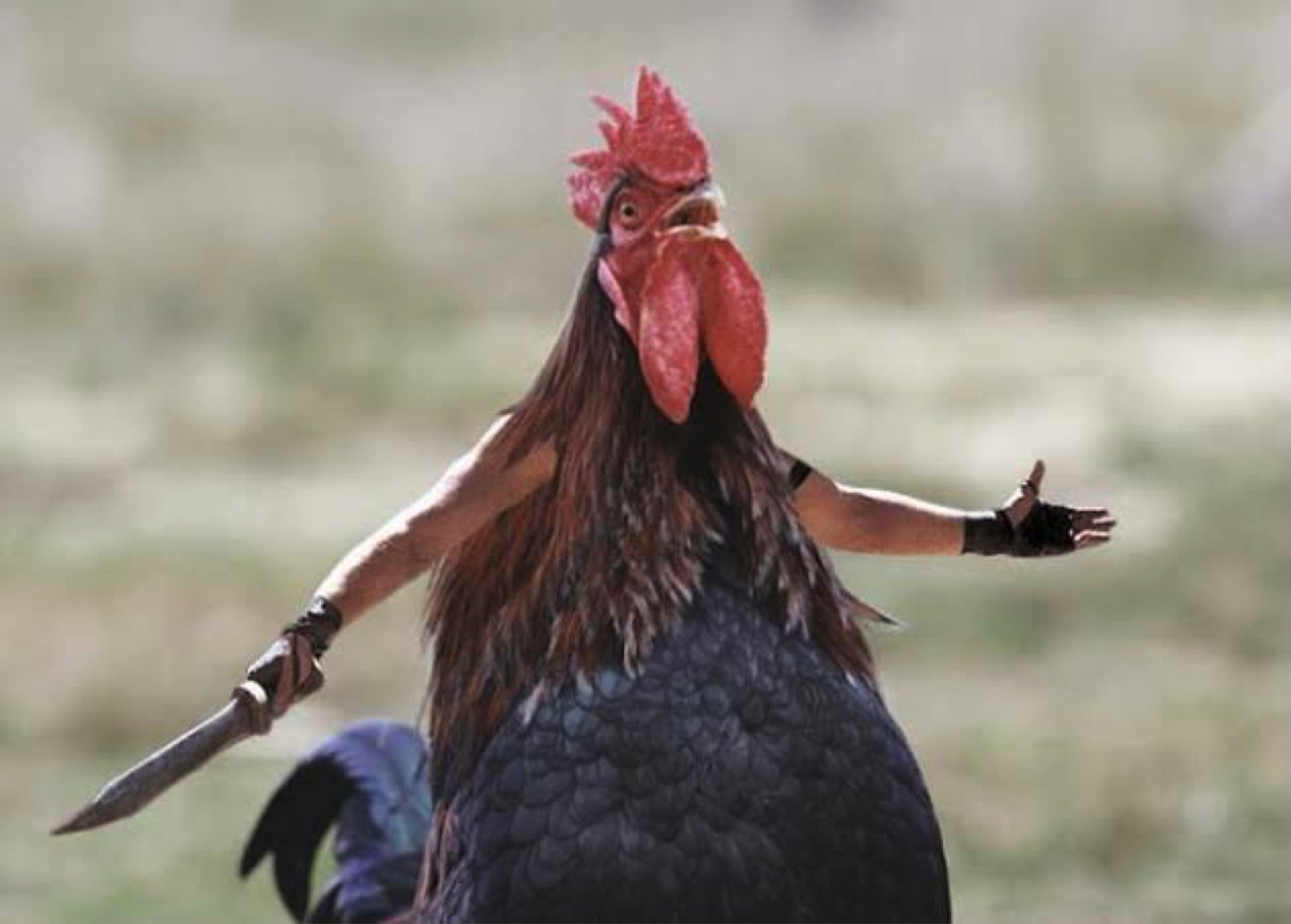 Tania (@Tania24719525) / Twitter