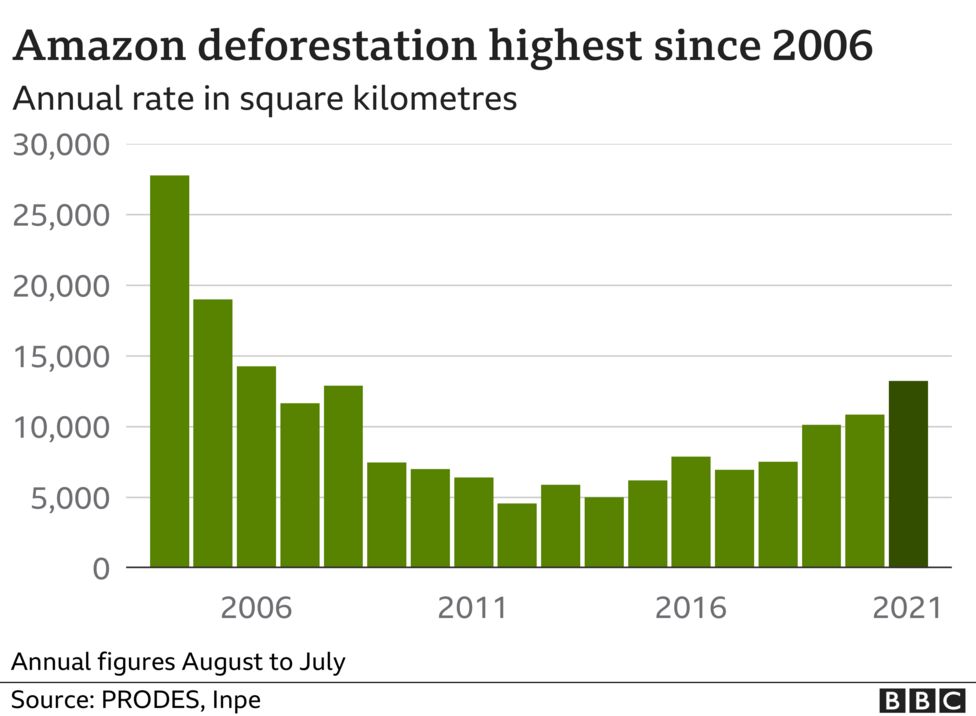 InternetGeog's tweet photo. Need to update your Amazon deforestation data? 👉 https://t.co/oAFfhCa5pJ https://t.co/Q3AAiwV9hd